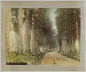 Imaichi Road, Nikko, Japão (foto colorida à mão em preto e branco) de Japanese Photographer