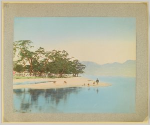 Miyajima, Japão (foto a p/b colorida à mão) de Japanese Photographer