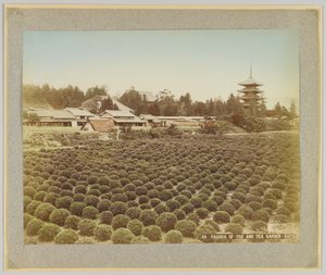 Pagoda de Toji e Tea Garden, Kyoto, Japão (foto a p/b colorida à mão) de Japanese Photographer