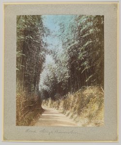 Estrada através de um bambu, Japão (foto colorida à mão a preto e branco) de Japanese Photographer