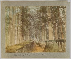 Pedra sobe ao túmulo de Ieyasu, Nikko, Japão (foto a p/b colorida à mão) de Japanese Photographer