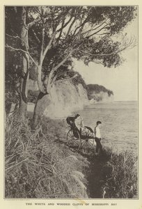As falésias brancas e arborizadas da Baía de Mississippi