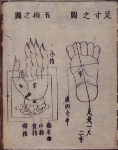 16029.b.5 fol.15v Diagrama mostrando pontos de acupunctura nas mãos e pés, de um comentário japonês de um trabalho chinês sobre acupunctura, o Shisijing fahui de 1341 por Hua Shou, Kyoto de Japanese School