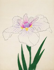 Akashi-no.-Ul, nº 10, 1898 de Japanese School