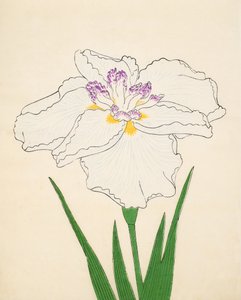 Cho-Hiyen, nº 91, 1890 (impressão em xilogravura a cores) de Japanese School
