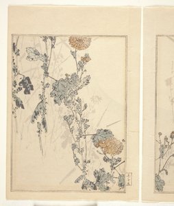 Crisântemos (impressão em bloco de madeira a cores) (ver também 374401) de Japanese School