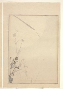 Crisântemos (impressão em bloco de madeira a cores) (ver também 374402) de Japanese School