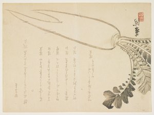 Rabanete Daikon, janeiro de 1864 (impressão em xilogravura a cores) de Japanese School