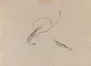 Desenho, de, dois, lagostim, (ink, em, paper) de Japanese School