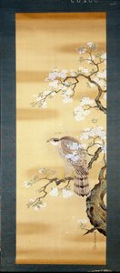Falcão sobre um ramo de cerejeira japonesa floresceu. Pintura em seda do século XVIII do Japão. Génova. Museo Chiossone. de Japanese School