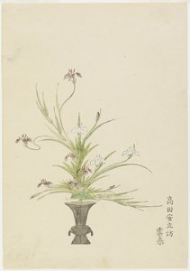 Arranjo de flores por Takada Anritsub Untai, Irises (impressão de xilogravura colorida à mão) de Japanese School