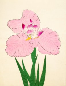 Gaisen No. 90, 1890 de Japanese School