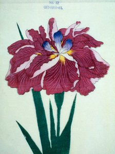 GeiSho-Ui, no.32. de Japanese School