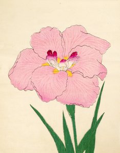 Gofukushoshu, nº 86, 1890 (impressão em xilogravura a cores) de Japanese School