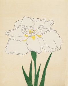 Haku-O-Den, nº 40, 1890 (impressão em xilogravura a cores) de Japanese School