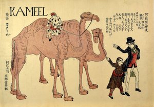 Camelo, pub. 1821 (xilogravura colorida) de Japanese School