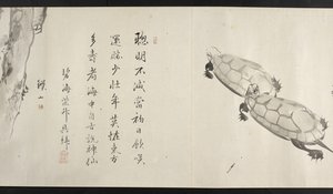 Ou. 14872, f.36, Duas tartarugas, de Yoshida Seisai (rolo de mão) de Japanese School