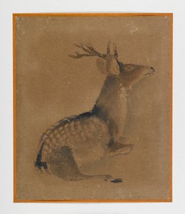 Veado reclinado (tinta e sépia no papel) de Japanese School
