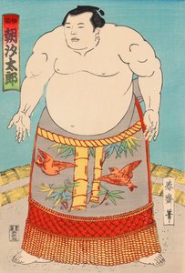 O lutador de sumo Asashio Taro de Japanese School