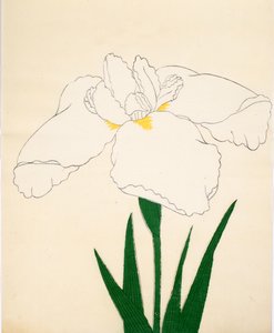 Tsuru-No-Kegoromo, nº 33, 1890 (impressão em xilogravura a cores) de Japanese School