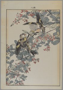 Dois pássaros com flores rosa, período Meiji, c.1868-1912 (impressão woodblock de cor) de Japanese School