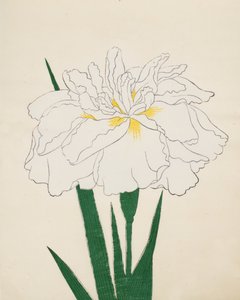 Ujaku-No-Nagisa, nº 61, 1890 de Japanese School