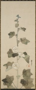 Hollyhocks brancos, período Edo, 1615-1868 (tinta, tonalidade e ouro no papel) de Japanese School