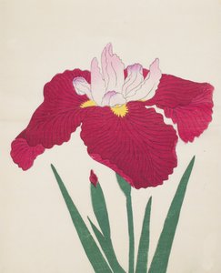 Yamamatayama, No. 83, 1890 (impressão de woodblock de cor) de Japanese School