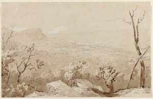Uma vista da montanha calva, Orange County, NY, 1843. de Jasper Francis Cropsey