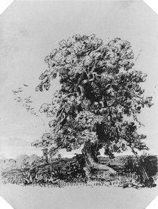  de Jasper Francis Cropsey