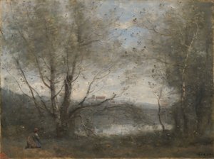 Um lago visto através das árvores