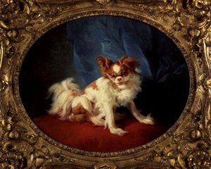 O Pequeno Favorito de Jean Baptiste Huet