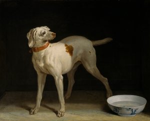 Cão de Jean Baptiste Oudry