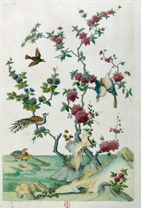 Desenho a partir de uma jarra chinesa: pássaros e flores. Pintura de Jean Antoine Fraisse (século XVIII)