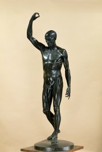Corpo esfolado (L&39;Ecorche) (bronze)