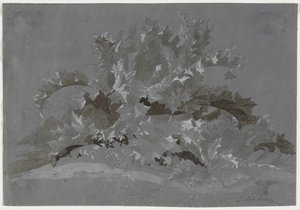 Estudo de ervas daninhas de Jean Antoine Linck