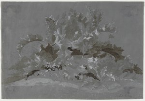 Study of Weeds, 1800-1850.