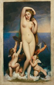 Vénus Anadyomene ... de Jean Auguste Dominique Ingres