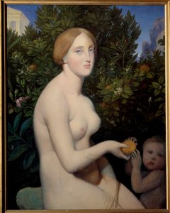 Vénus a Paphos, retrato de Madame Balay (1833 - 1901). Pintura de Jean Auguste Dominique Ingres (1780-1867), pintura concluída por Alexandre Desgoffe (1805-1882) de Jean Auguste Dominique Ingres