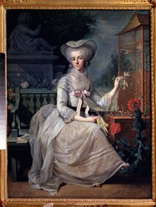 Pintura "Young Lady at a Cage" de Jean-Baptiste (Jean Baptiste) Charpentier (1728-1806) 1784 Museu Pushkin, Moscovo