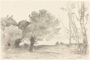 Salgueiros e álamos brancos (Saules et peupliers blancs) de Jean-Baptiste-Camille Corot