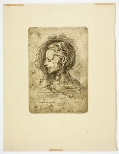 Cabeça Feminina de Jean Baptiste Carpeaux
