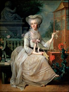 Jovem senhora em uma gaiola, 1784 de Jean Baptiste Charpentier the Elder