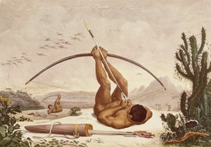 Native Archers, Ilustração das Viagens no Interior do Brasil de Jean Baptiste Debret