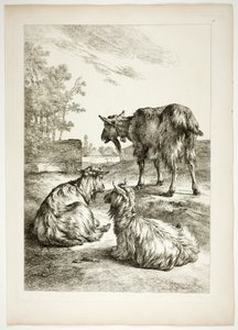 Placa Dezoito de 38 de Oeuvres de J. B. Huet de Jean Baptiste Huet
