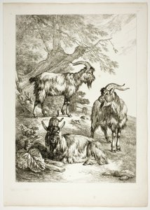 Placa Dezessete de 38 de Oeuvres de J. B. Huet de Jean Baptiste Huet