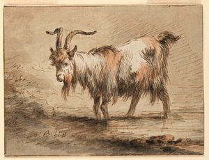 Desenho, Estudo de uma cabra, 1772 de Jean Baptiste Huet