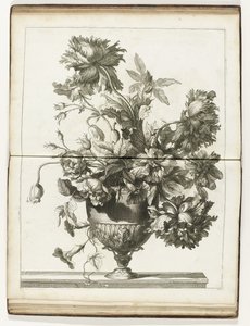 Bloemenvaas
Vários livros de vasos florais feitos de Natural (título da série) de Jean Baptiste Monnoyer