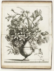 Bloemenvaas
Vários livros de vasos florais feitos de Natural (título da série) de Jean Baptiste Monnoyer