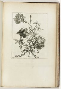 Buquê encadernado Les Petits Bouquets (título da série) de Jean Baptiste Monnoyer